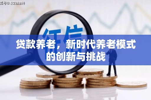 西屯贷款养老，新时代养老模式的创新与挑战