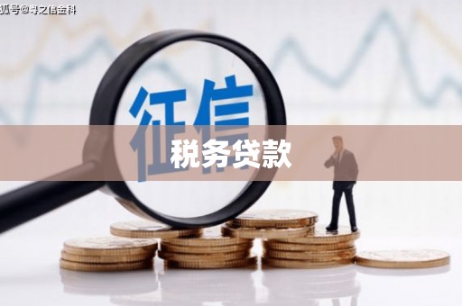 西屯税务贷款