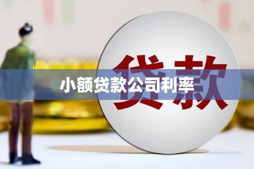 西屯小额贷款公司利率