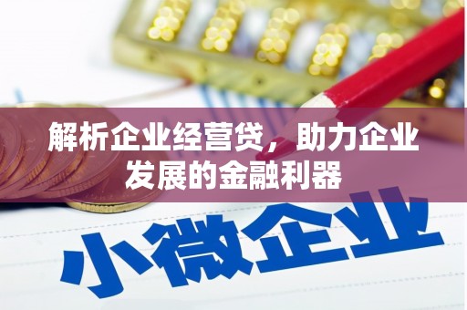 西屯解析企业经营贷，助力企业发展的金融利器