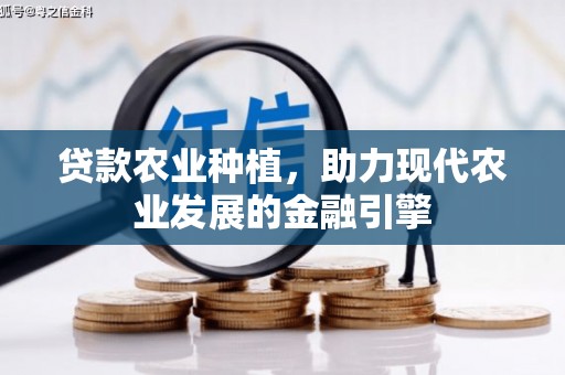 西屯贷款农业种植，助力现代农业发展的金融引擎