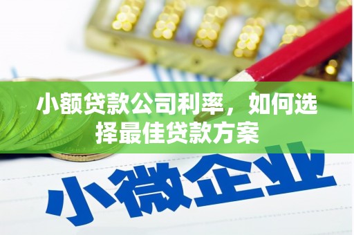 西屯小额贷款公司利率，如何选择最佳贷款方案