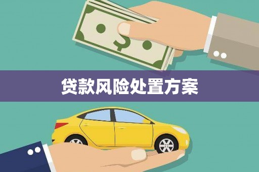 西屯贷款风险处置方案