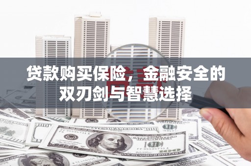 西屯贷款购买保险，金融安全的双刃剑与智慧选择
