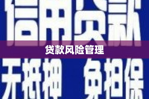 西屯贷款风险管理
