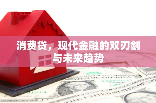 西屯消费贷，现代金融的双刃剑与未来趋势