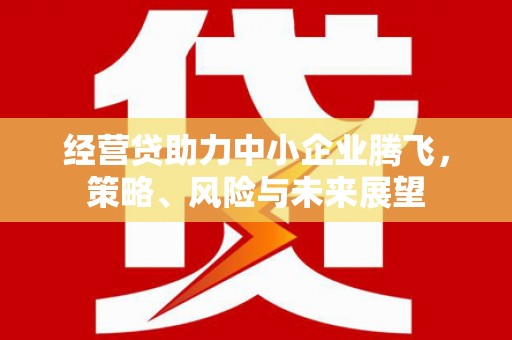 西屯经营贷助力中小企业腾飞，策略、风险与未来展望
