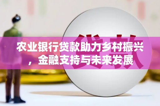西屯农业银行贷款助力乡村振兴，金融支持与未来发展