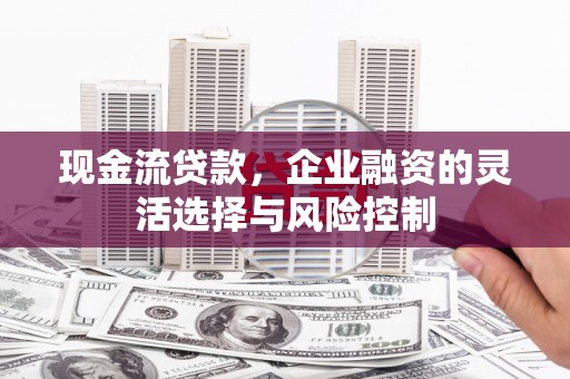 西屯现金流贷款，企业融资的灵活选择与风险控制