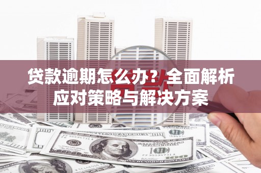 西屯贷款逾期怎么办？全面解析应对策略与解决方案