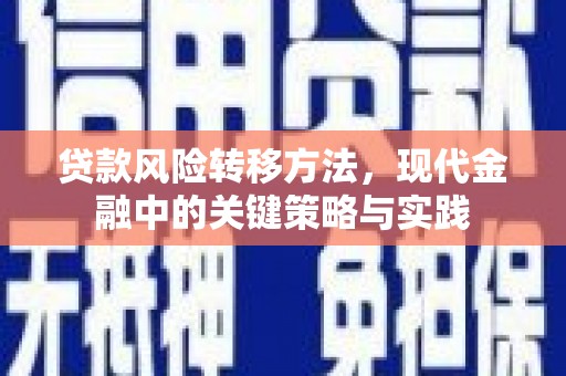 西屯贷款风险转移方法，现代金融中的关键策略与实践