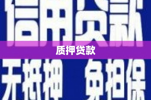 西屯质押贷款