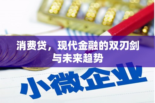 西屯消费贷，现代金融的双刃剑与未来趋势