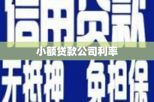 西屯小额贷款公司利率