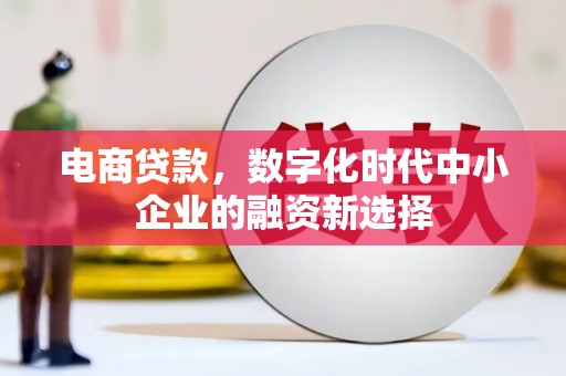 西屯电商贷款，数字化时代中小企业的融资新选择