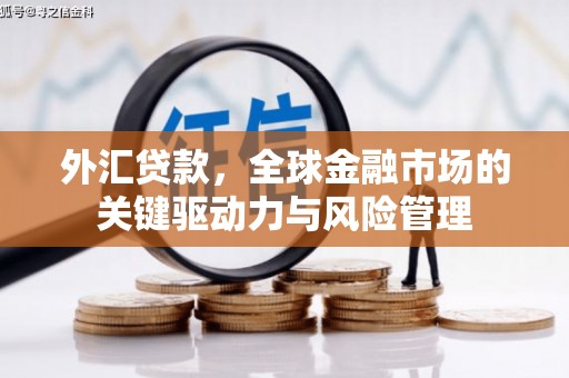 西屯外汇贷款，全球金融市场的关键驱动力与风险管理