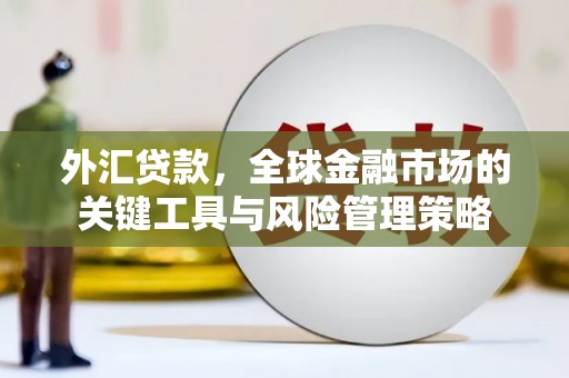 西屯外汇贷款，全球金融市场的关键工具与风险管理策略