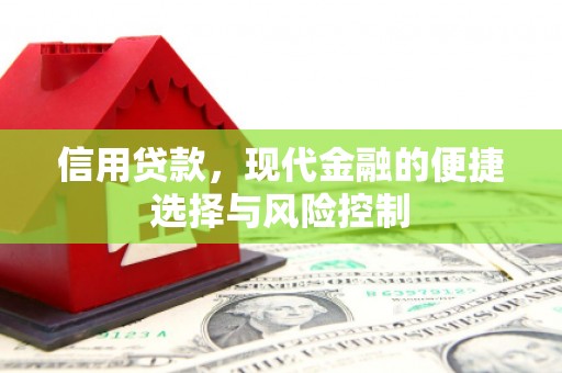 西屯信用贷款，现代金融的便捷选择与风险控制