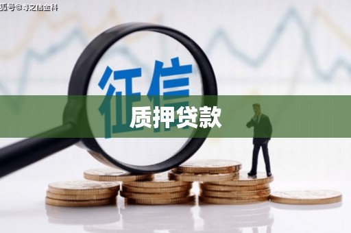 西屯质押贷款