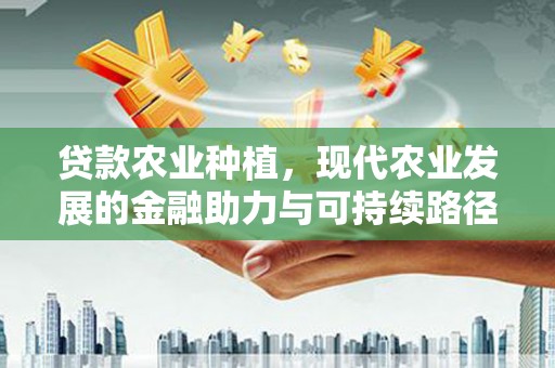 西屯贷款农业种植，现代农业发展的金融助力与可持续路径