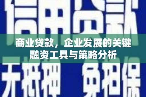 西屯商业贷款，企业发展的关键融资工具与策略分析