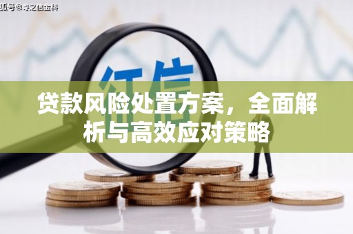 西屯贷款风险处置方案，全面解析与高效应对策略