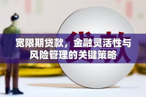 西屯宽限期贷款，金融灵活性与风险管理的关键策略