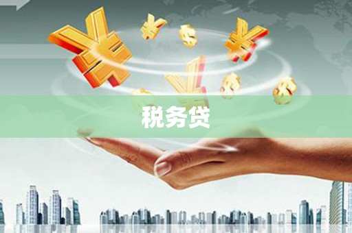 西屯税务贷