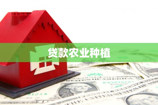 西屯贷款农业种植