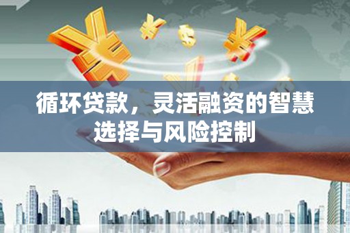 西屯循环贷款，灵活融资的智慧选择与风险控制