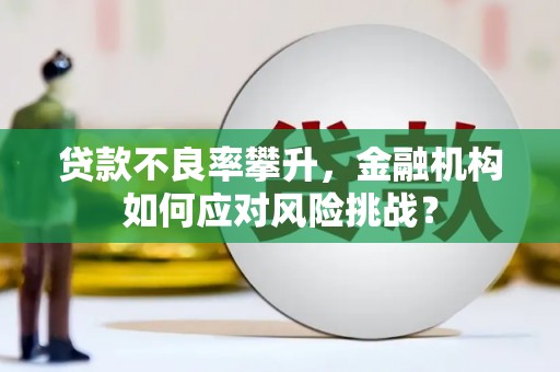 西屯贷款不良率攀升，金融机构如何应对风险挑战？
