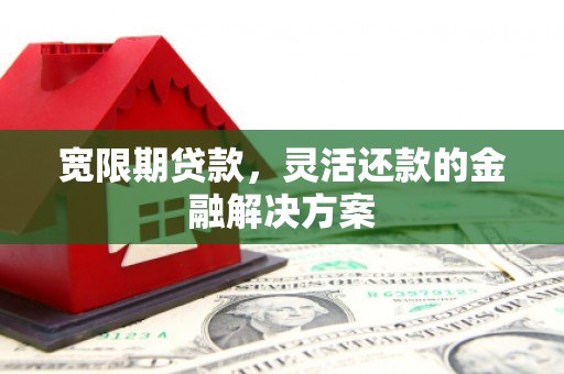 西屯宽限期贷款，灵活还款的金融解决方案