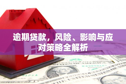 西屯逾期贷款，风险、影响与应对策略全解析