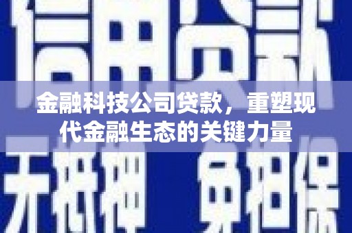 西屯金融科技公司贷款，重塑现代金融生态的关键力量
