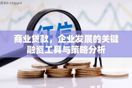 西屯商业贷款，企业发展的关键融资工具与策略分析