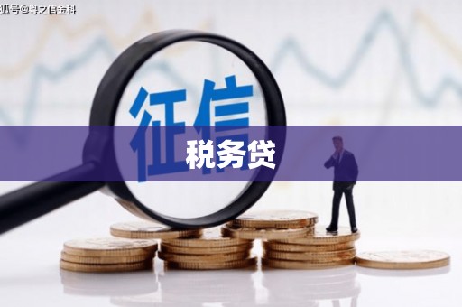 西屯税务贷