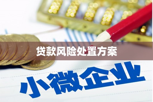 西屯贷款风险处置方案