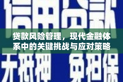 西屯贷款风险管理，现代金融体系中的关键挑战与应对策略