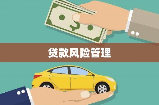 西屯贷款风险管理