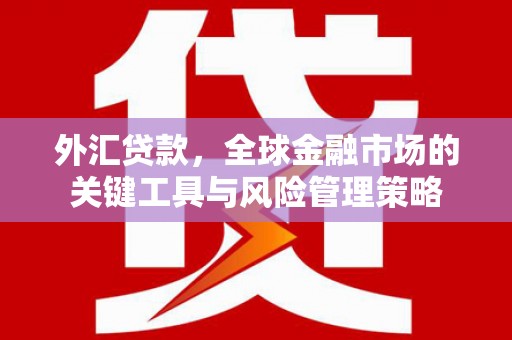 西屯外汇贷款，全球金融市场的关键工具与风险管理策略