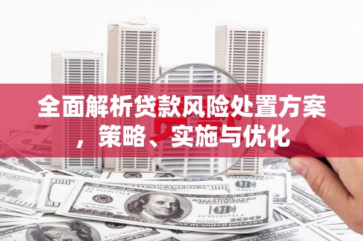 西屯全面解析贷款风险处置方案，策略、实施与优化