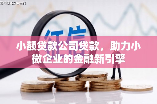 西屯小额贷款公司贷款，助力小微企业的金融新引擎