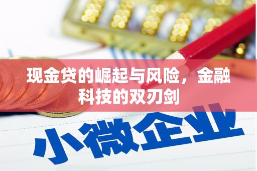 西屯现金贷的崛起与风险，金融科技的双刃剑