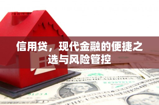 西屯信用贷，现代金融的便捷之选与风险管控