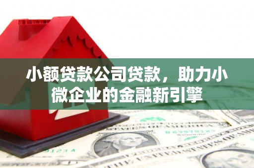 西屯小额贷款公司贷款，助力小微企业的金融新引擎