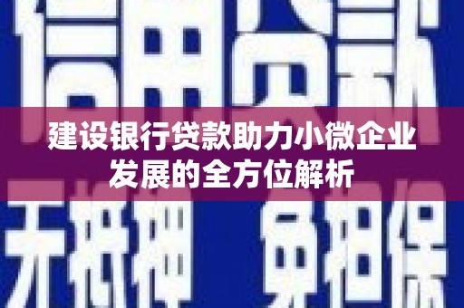 西屯建设银行贷款助力小微企业发展的全方位解析