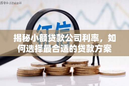西屯揭秘小额贷款公司利率，如何选择最合适的贷款方案