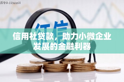西屯信用社贷款，助力小微企业发展的金融利器