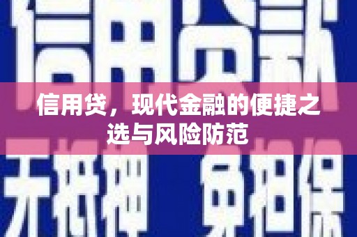 西屯信用贷，现代金融的便捷之选与风险防范
