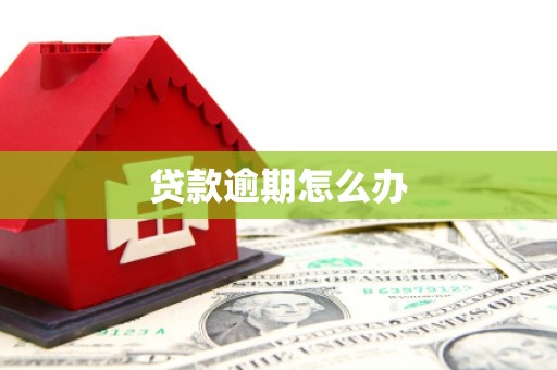 西屯贷款逾期怎么办